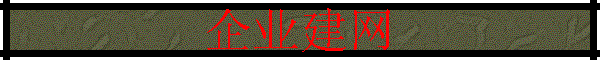 企业建网